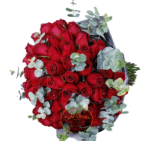 Ramo de 100 rosas naturales con follaje de eucalipto y envoltura decorativa