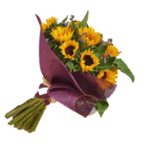 Delicado Ramo de 10 Girasoles