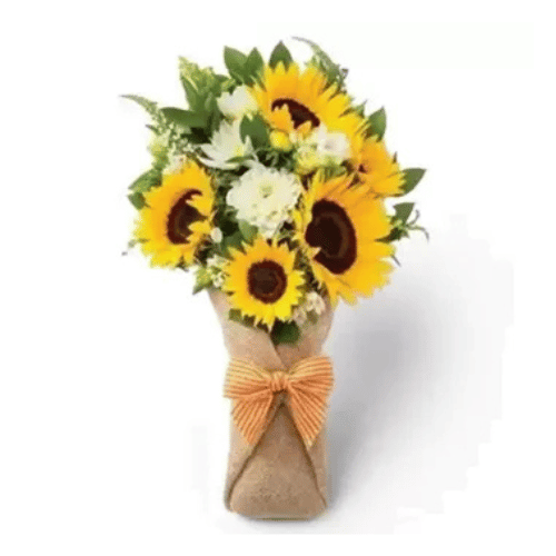 Girasoles con Claveles blancos