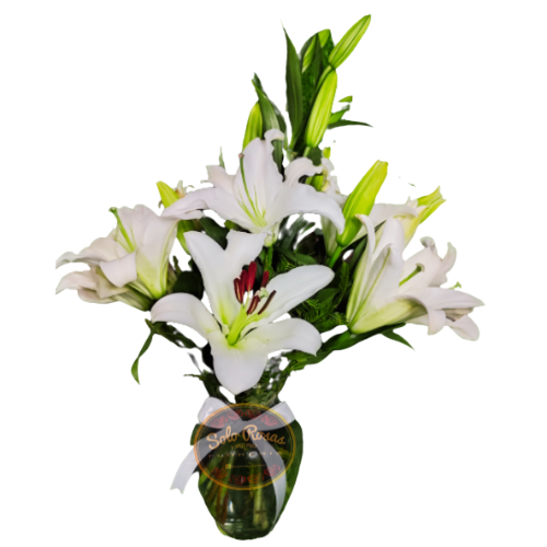Elegancia y Pureza en Cada Flor
