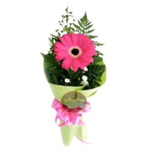 Ramo de gerbera Colorida para Regalar