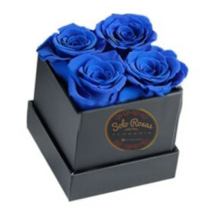Box Cuadrado con 4 Rosas Azules Tinturadas