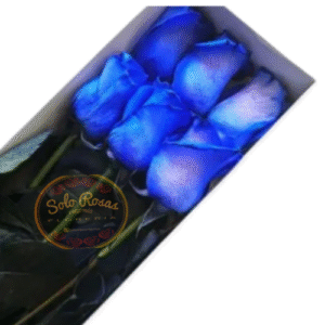 Caja de 6 Rosas Azules Tinturadas