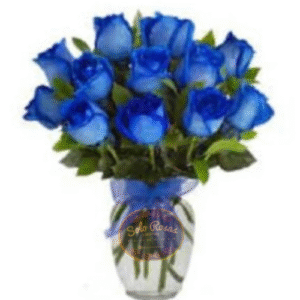 Florero con 24 Rosas Azules