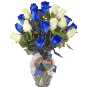 Florero con 20 Rosas Blancas y Azules