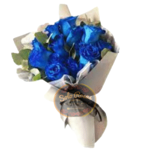 Ramo de 16 Rosas Azules