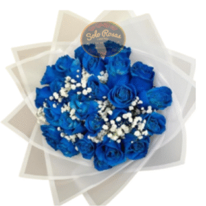 Ramo de 20 Rosas Azules con Gypsophila