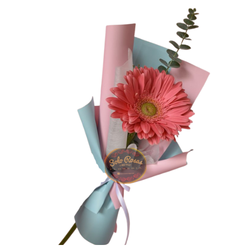 Ramo de 1 gerbera rosa envuelto con papel decorativo.