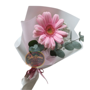 Ramo de una gerbera rosada con follaje en papel blanco decorativo.
