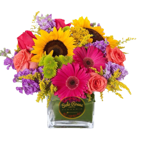 Hermoso arreglo floral con vibrantes girasoles, alegres gerberas fucsia y delicadas rosas en tonos coral y rosado, complementado con flores de relleno moradas y amarillas.