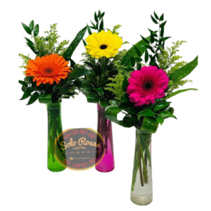 “Florero con una gerbera fresca y elegante”
