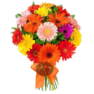 ramo de 20 gerberas surtidas en colores vibrantes