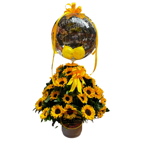 arreglo de 50 girasoles en cerámica con globo para cumpleaños — Solo Rosas y Algo Más