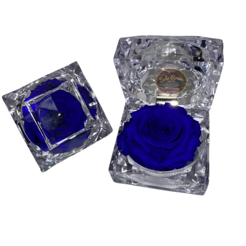 rosa-preservada-caja-cristal.jpg