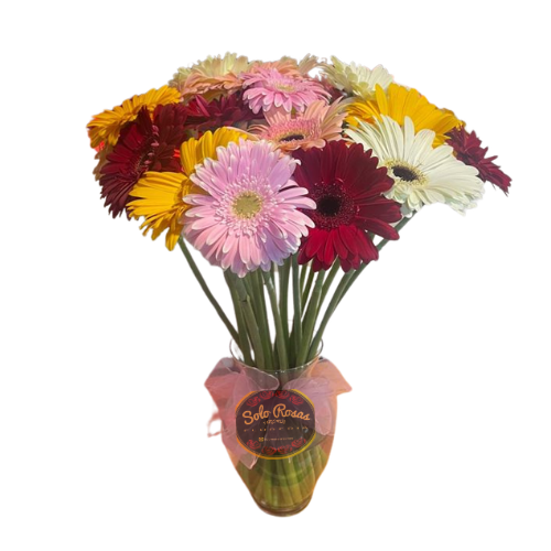 Florero con 12 gerberas surtidas de colores y follaje verde decorativo