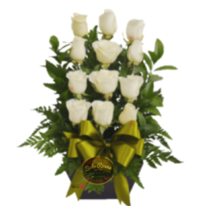 Arrimo de 12 rosas blancas premium con follaje natural y base decorativa elegante.