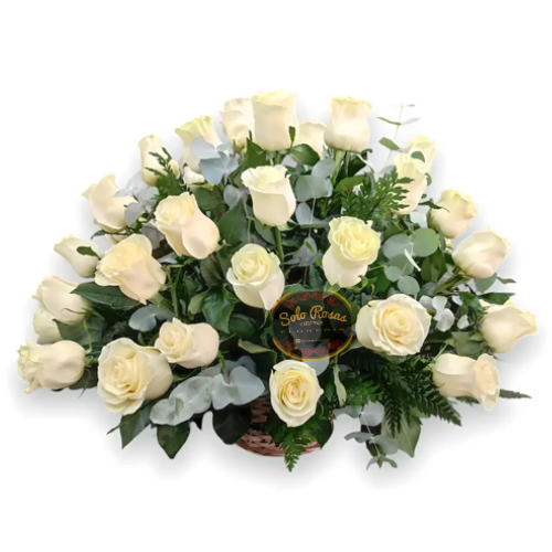 Canasta de 24 rosas rojas premium con follaje natural y elegante presentación.