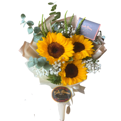 Ramo de 3 girasoles delicado con eucalipto e ilusión en envoltorio crema